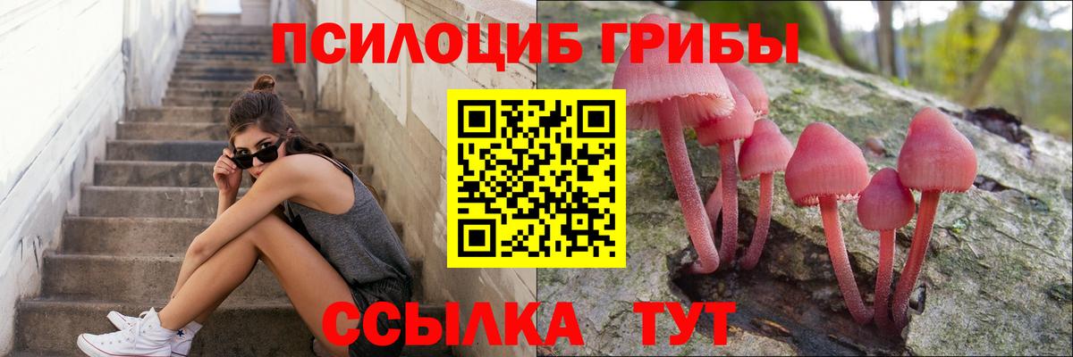 Каменск-Шахтинский  Псилоцибиновые грибы мухоморы  Псилоцибиновые грибы Psilocybe  Вход с VPN 